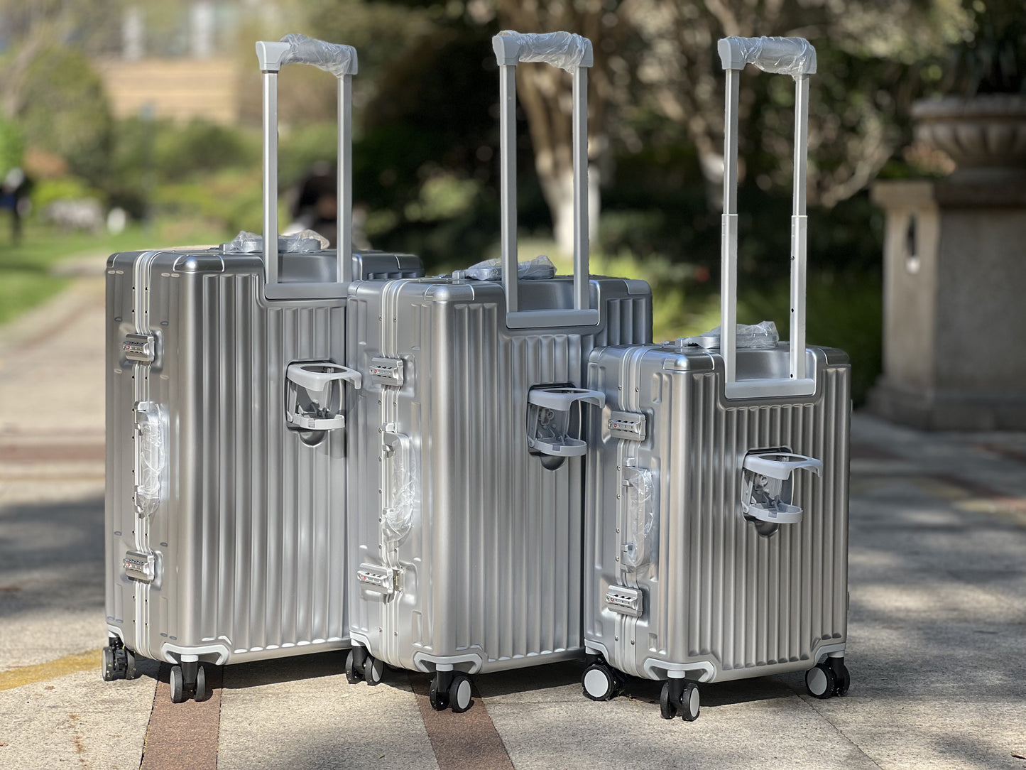 SMART SERIES CARRY-ON SILVER