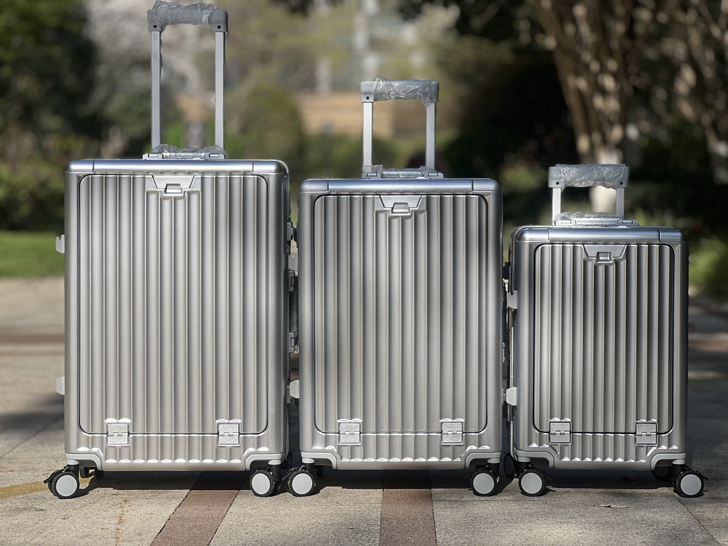 SMART SERIES CARRY-ON SILVER