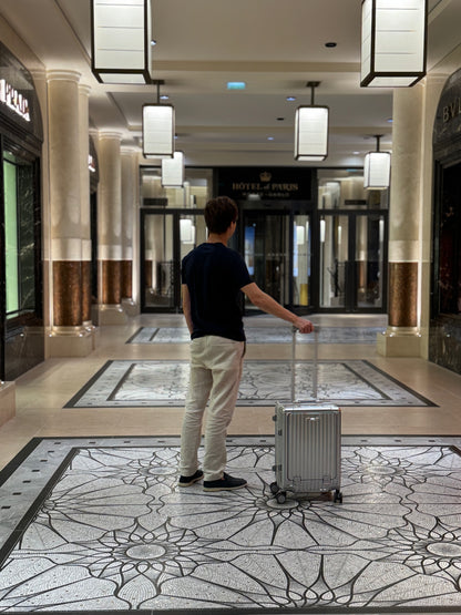 SMART SERIES CARRY-ON SILVER